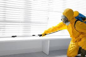 Emergency Pest Control Services in Pasadena, TX